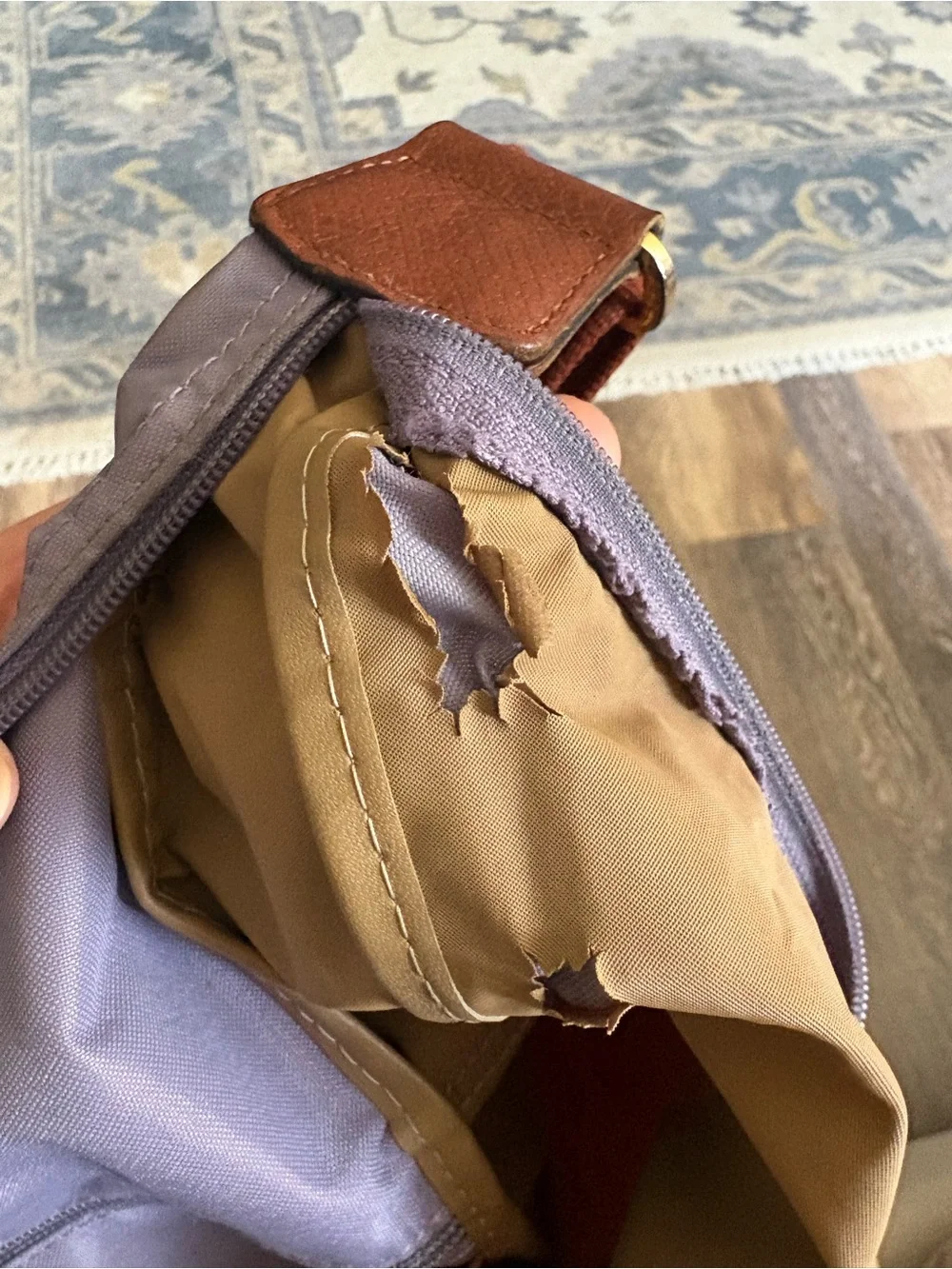 Longchamp Le Pliage Hobo Bag